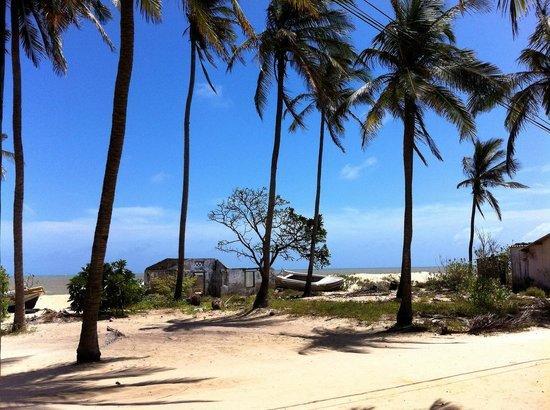 Scoop Cabana Kitesurfing Kalpitiya Ngoại thất bức ảnh